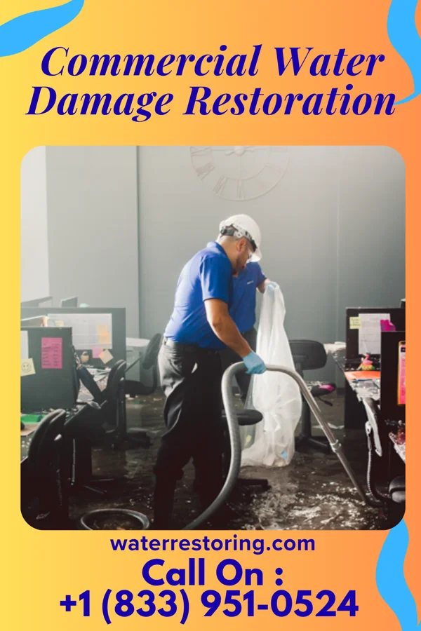 Commercial Water Damage Restoration in Lamont, IA