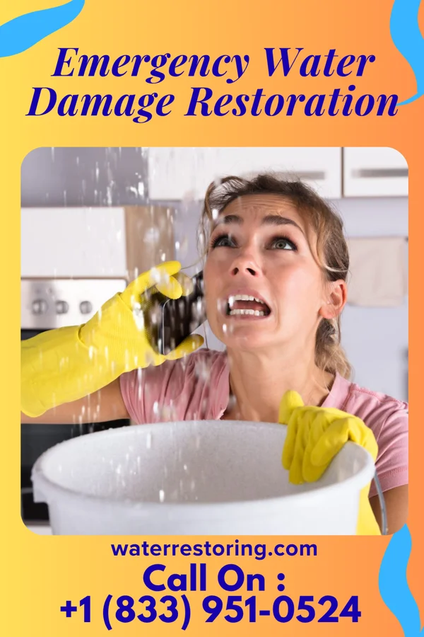 Emergency Water Damage Restoration in Lamont, IA