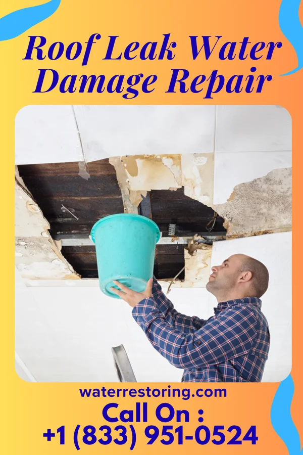 Roof Leak Water Damage Repair in Lamont, IA